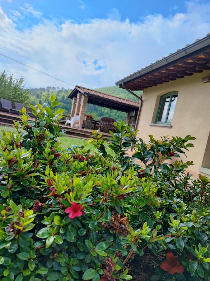Villa Giulia Fashion B&B Strada in Chianti Exterior foto
